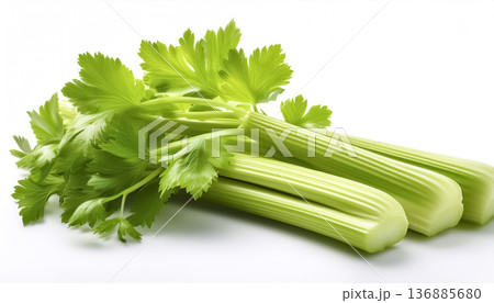 白背景のセロリ 新鮮なグリーン野菜のアップ素材 白背景のセロリ 新鮮なグリーン野菜のアップ素材 136885680