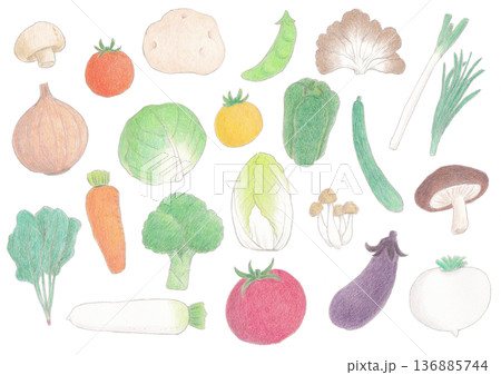 いろいろな野菜のイラストセット 136885744