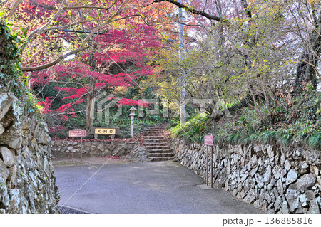 栃木県　「唐沢山城」の曲輪と遺構 136885816