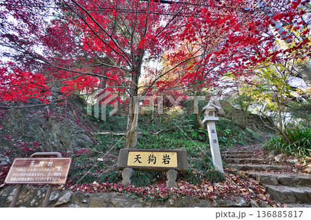 栃木県 「唐沢山城」の曲輪と遺構 栃木県 「唐沢山城」の曲輪と遺構 136885817