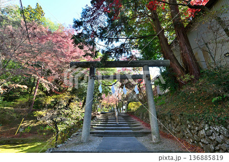 栃木県 「唐沢山城」の曲輪と遺構 栃木県 「唐沢山城」の曲輪と遺構 136885819