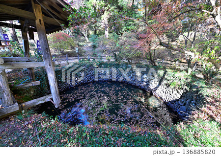 栃木県　「唐沢山城」の曲輪と遺構 136885820
