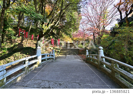 栃木県 「唐沢山城」の曲輪と遺構 栃木県 「唐沢山城」の曲輪と遺構 136885821