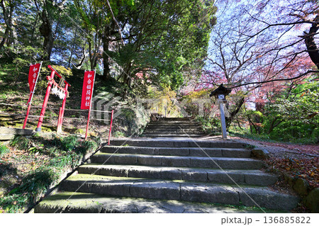 栃木県　「唐沢山城」の曲輪と遺構 136885822