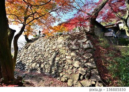 栃木県 「唐沢山城」の曲輪と遺構 栃木県 「唐沢山城」の曲輪と遺構 136885830