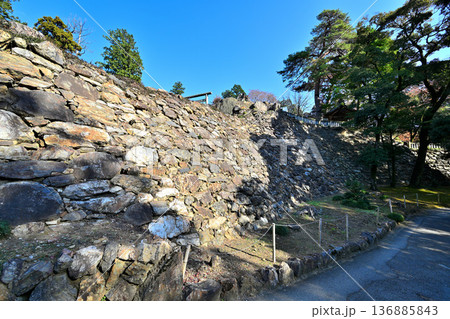 栃木県 「唐沢山城」の曲輪と遺構 栃木県 「唐沢山城」の曲輪と遺構 136885843