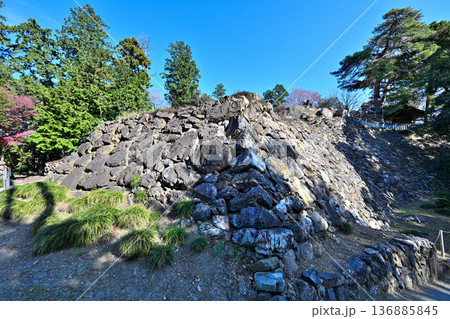 栃木県　「唐沢山城」の曲輪と遺構 136885845