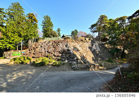栃木県　「唐沢山城」の曲輪と遺構 136885846