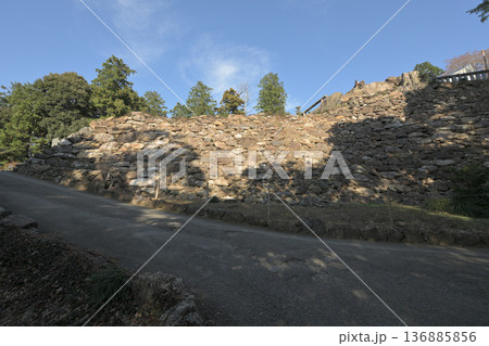 栃木県　「唐沢山城」の曲輪と遺構 136885856