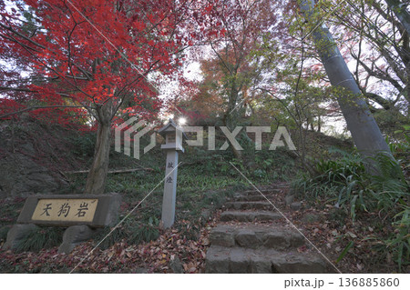 栃木県　「唐沢山城」の曲輪と遺構 136885860