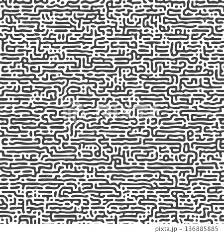 pattern with black and white turing reaction diffusion striped vector illustration pattern with black and white turing reaction diffusion striped vector illustration 136885885