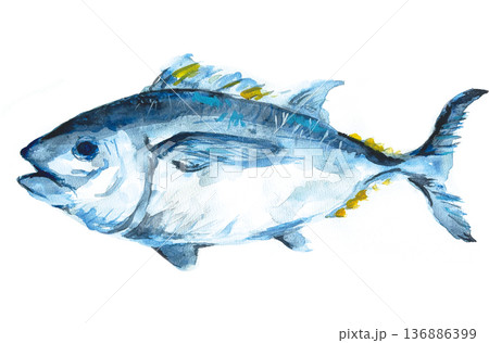 マグロの水彩イラスト素材 136886399