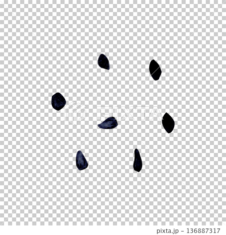 Black sesame seeds isolated on white, hand-painted watercolor ingredient elements with organic shapes and dark texture. Perfect for bakery design, food packaging, menu decoration, culinary branding 136887317