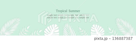 トロピカルリーフフレーム グリーン ワイドWebバナー 緑背景 136887387