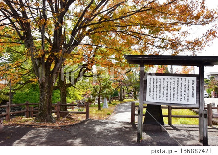 桑名市 歴史を語る公園散策路と鮮やかな紅葉 桑名市 歴史を語る公園散策路と鮮やかな紅葉 136887421