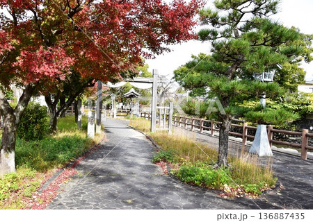 桑名市 歴史を語る公園散策路と鮮やかな紅葉 桑名市 歴史を語る公園散策路と鮮やかな紅葉 136887435