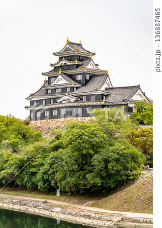 後楽園の月見橋から見る岡山城(国指定の史跡 別名:烏城、金烏城)天守(外観復元) 後楽園の月見橋から見る岡山城(国指定の史跡 別名:烏城、金烏城)天守(外観復元) 136887465