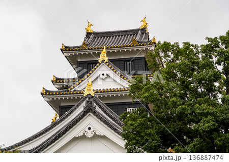岡山城(国指定の史跡 別名:烏城、金烏城)天守(外観復元) 岡山城(国指定の史跡 別名:烏城、金烏城)天守(外観復元) 136887474