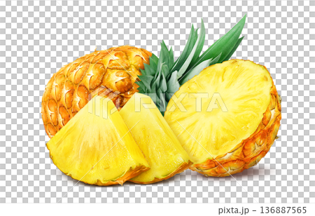 Pineapple illustration pineapple realistic 136887565