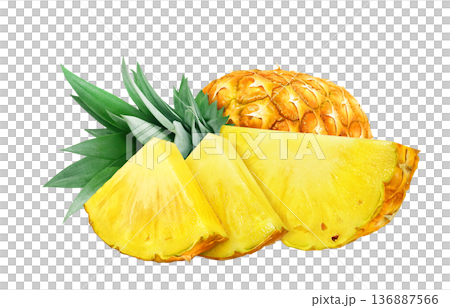 パイナップル イラスト パイン リアル 136887566
