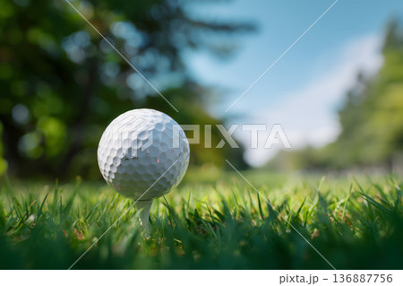White golf ball is sitting on a grassy field 136887756