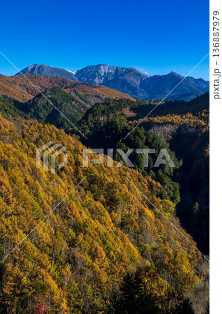 秋の御嶽山 岐阜県 下呂市 小坂町 御嶽パノラマラインから 秋の御嶽山 岐阜県 下呂市 小坂町 御嶽パノラマラインから 136887979