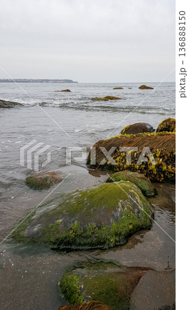 Moss-covered boulders adorn the sandy beach of a marine bay on the Kuril Islands. 136888150