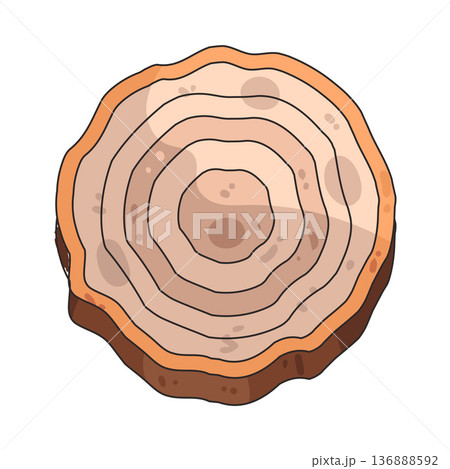 Illustration of tree ring Illustration of tree ring 136888592