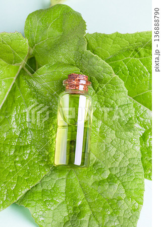 Close up burdock essential oil bottle on large green leaves, natural background Close up burdock essential oil bottle on large green leaves, natural background 136888790