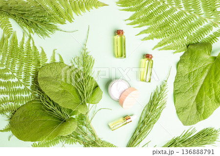 Essential oils of fern, horsetail, burdock and their leaves on light green background Top view 136888791