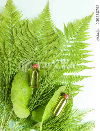 Essential oils in glass bottles surrounded by green leaves of horsetail, ferns and burdock Top view Essential oils in glass bottles surrounded by green leaves of horsetail, ferns and burdock Top view 136888792
