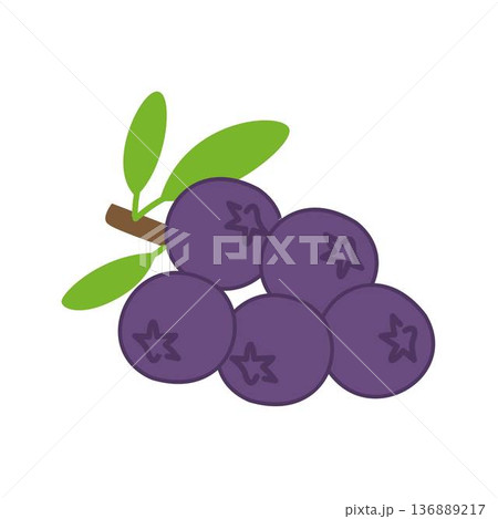 sloe berries branch with leaves fresh fruit 136889217