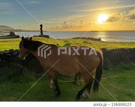 イースター島の馬、日没のタハイ儀式村 イースター島の馬、日没のタハイ儀式村 136889223