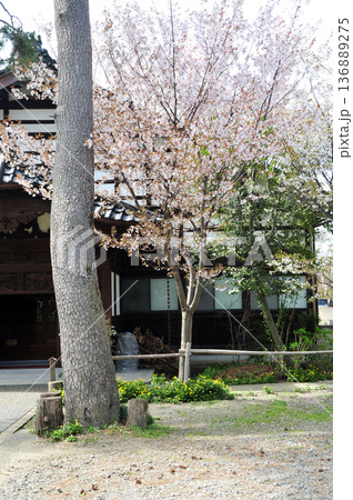金沢 本長寺 金沢 本長寺 136889275