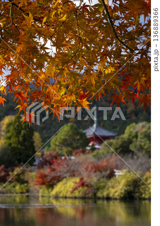 古都への想い 136889366