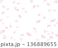 桜の花びら　桜吹雪 136889655