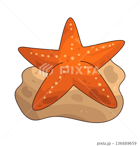 Illustration of Starfish Illustration of Starfish 136889659
