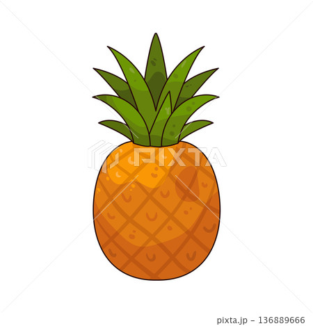Illustration of Pineapple Illustration of Pineapple 136889666