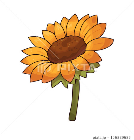 Illustration of sunflower  136889685