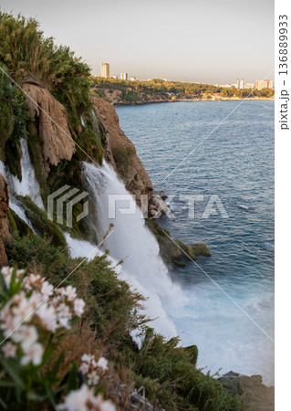 Majestic Waterfall Cascading Into the Sea Near Coastal City at Sunset With Lush Greenery and Vibrant Flowers in the Foreground Majestic Waterfall Cascading Into the Sea Near Coastal City at Sunset With Lush Greenery and Vibrant Flowers in the Foreground 136889933