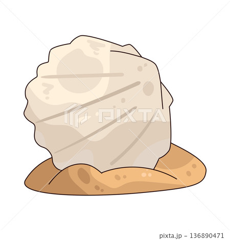 Illustration of Seashell Illustration of Seashell 136890471