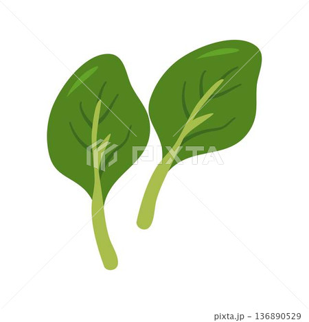 Mustasa (Mustard Greens) Mustasa (Mustard Greens) 136890529