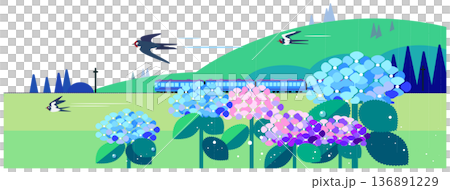 An early summer landscape illustration of a blue train running along the tracks with blooming hydrangeas and flying swallows 136891229