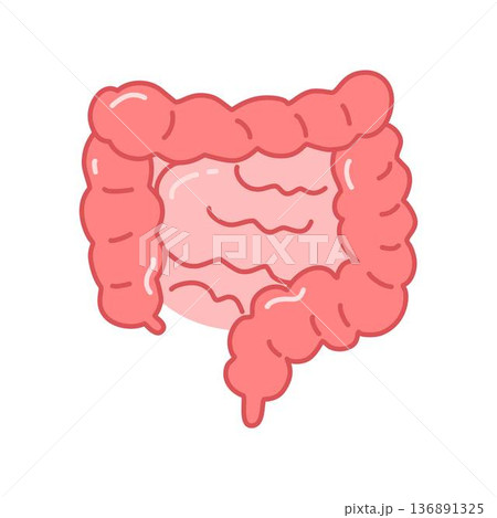 Healthy intestine icon, Intestine of human 136891325