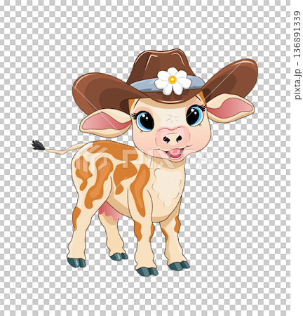 Calf with a cowboy hat Calf with a cowboy hat 136891339