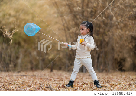 Little child girl holding blue butterfly net exploring the dry forest Little child girl holding blue butterfly net exploring the dry forest 136891417