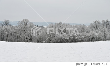 Winter landscape - frosty trees. Nature with snow. Beautiful seasonal natural background. Winter landscape - frosty trees. Nature with snow. Beautiful seasonal natural background. 136891424