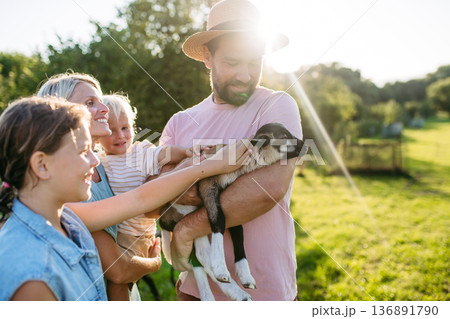 Family petting little goat at farm. 136891790