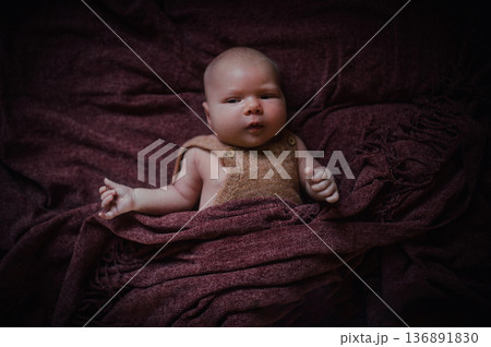 Newborn baby lying peacefully in soft blankets. Newborn baby lying peacefully in soft blankets. 136891830