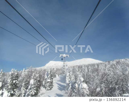 樹氷　霧氷　蔵王 136892214